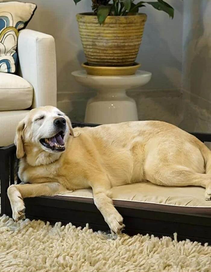 Pufcu Espresso Ahşap Kedi ve Köpek Yatağı 35x50x27 Small life